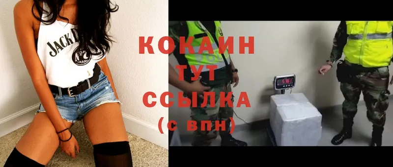 МЕГА ссылки  где найти   Губкин  Cocaine VHQ 